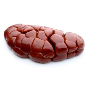 Wholesale Frozen Buffalo Kidney