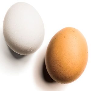 fresh brown and white eggs