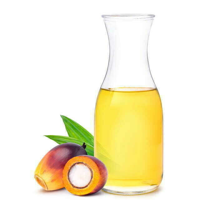 Palm Oil Wholesale